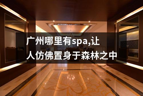 广州哪里有spa,让人仿佛置身于森林之中