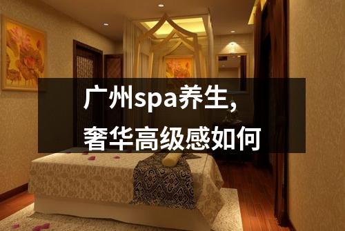 广州spa养生,奢华高级感如何